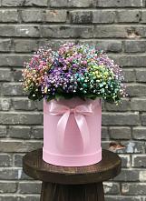 Цветочная композиция из Гипсофила и Розы в шляпной коробке в Поселке имени Морозова