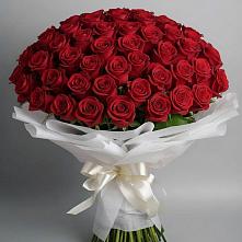 Букет 101 Красная роза Блэк Мэджик в Поселке имени Морозова
