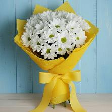 Букет цветов из:  Хризантемы в Поселке имени Морозова