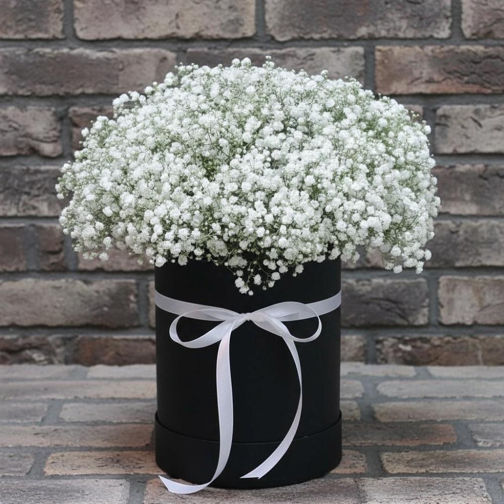 Цветочная композиция из Гипсофила в шляпной коробке в Поселке имени Морозова