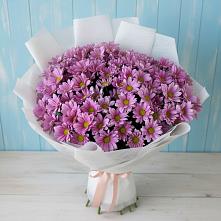 Букет цветов из:  Хризантемы в Поселке имени Морозова