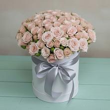 Цветочная композиция из Розы в шляпной коробке в Поселке имени Морозова