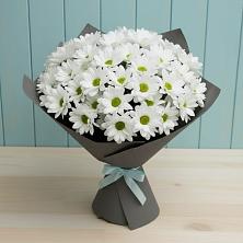 Букет цветов из:  Хризантемы в Поселке имени Морозова