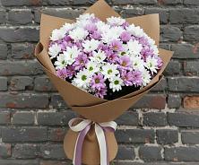 Букет цветов из:  Хризантемы #REPLACE_PRED# Поселке имени Морозова