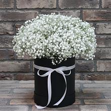 Цветочная композиция из Гипсофила в шляпной коробке в Поселке имени Морозова