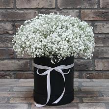 Цветочная композиция из Гипсофила в шляпной коробке в Поселке имени Морозова