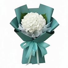 Букет цветов из:  Гортензия #REPLACE_PRED# Поселке имени Морозова